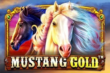 Mustang gold