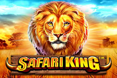 Safari king