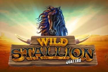 Wild stallion